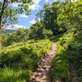 Exploring the Best Hiking Trails in the UK for Camping Enthusiasts