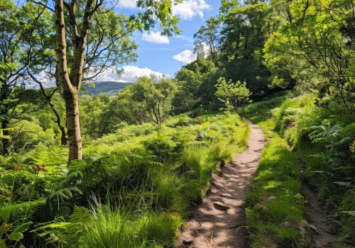Exploring the Best Hiking Trails in the UK for Camping Enthusiasts